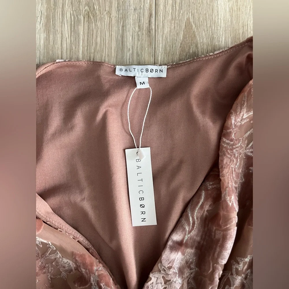 NWT Women’s Baltic Born Uma Velvet Burnout Maxi Dress Pink Floral - Size Medium - Picture 5 of 9